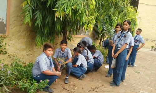 Oxford Foundation School — photo 1