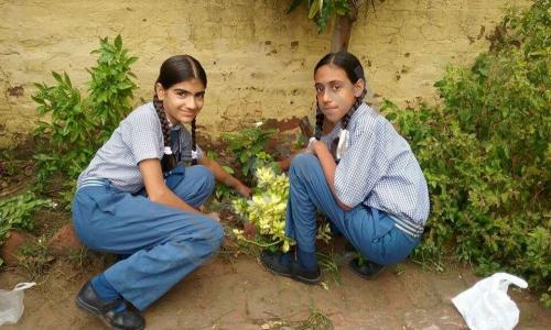 Oxford Foundation School — photo 2