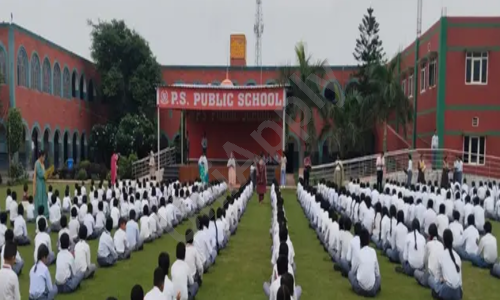 P.S. Public School — photo 2