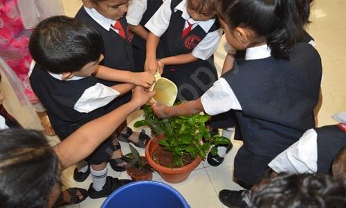 Panbai International School — photo 5