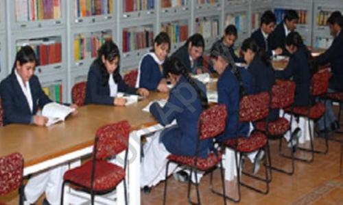 Pandit Mohan Lal Sanatan Dharama Public School — photo 3