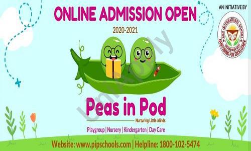 Peas in Pod — photo 1