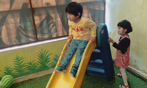 Peas in Pod — photo 3