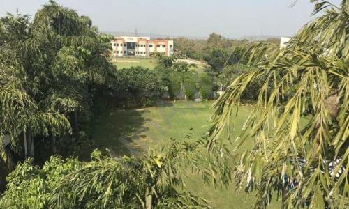 Pinewood International Boarding School — photo 5