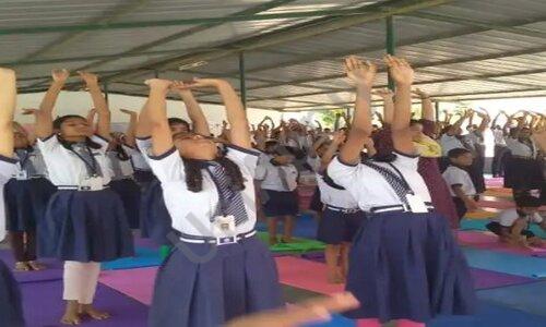 PKS School — photo 4
