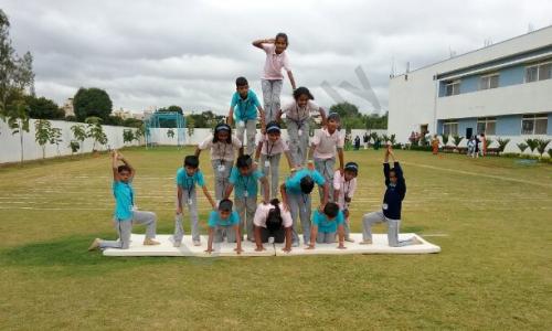 Podar International School — photo 7