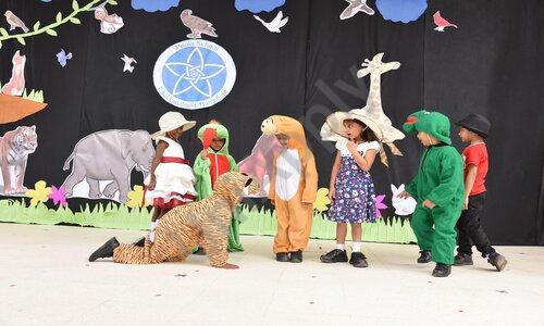 Poola School — photo 6