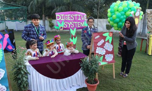 PP International School — photo 12