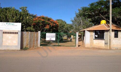 Prakriya Green Wisdom School — photo 9