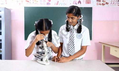 Prestige International School — photo 4