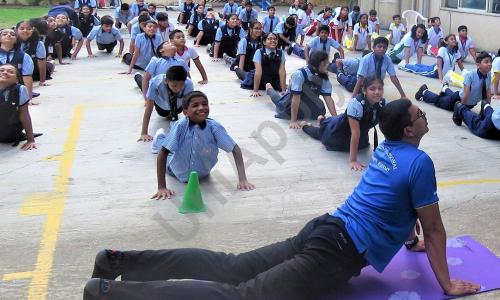 Prime Academy — photo 4