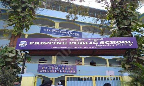 Pristine Public School — photo 1