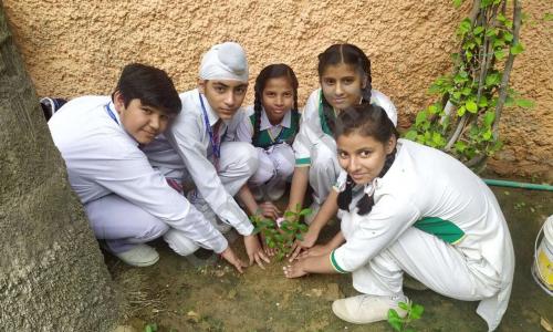 R.P. Memorial Senior Secondary Public School — photo 7