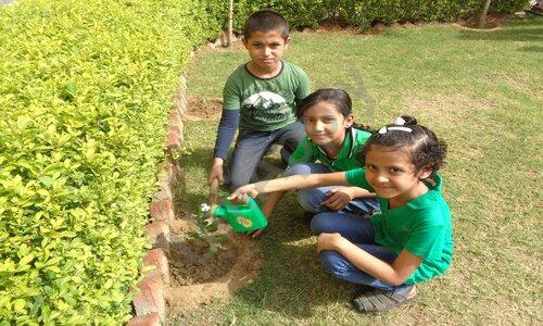 R.P. World School — photo 9