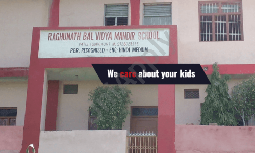 Raghunath Bal Vidya Mandir Senior Secondary School — photo 1