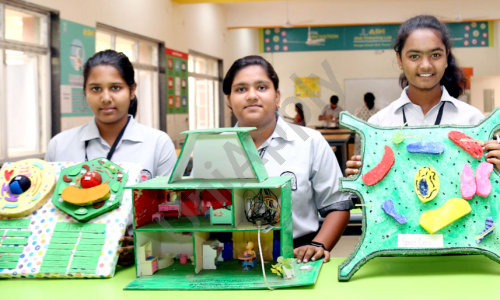 Ramjas International School — photo 3