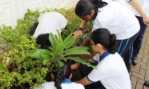 Reliance Foundation School — photo 10