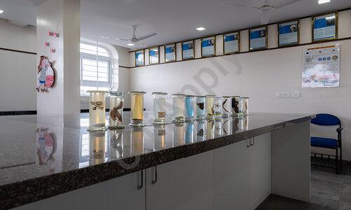 RES High School — photo 9