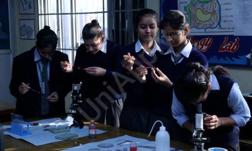 Rishikul Vidyapeeth — photo 2