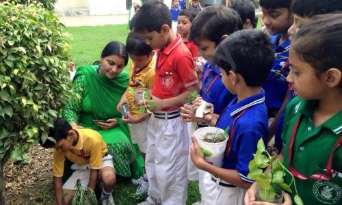 Rockwell Convent School — photo 3