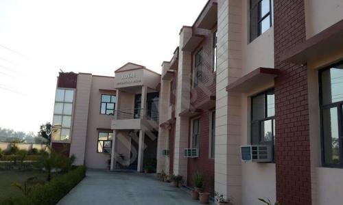 Royal International School — photo 1