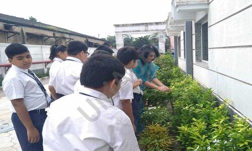 Ruby Park Public School — photo 9