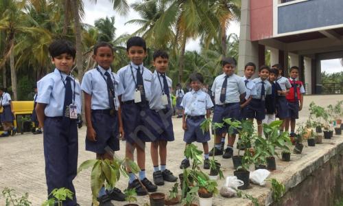 Ryan International School — photo 6