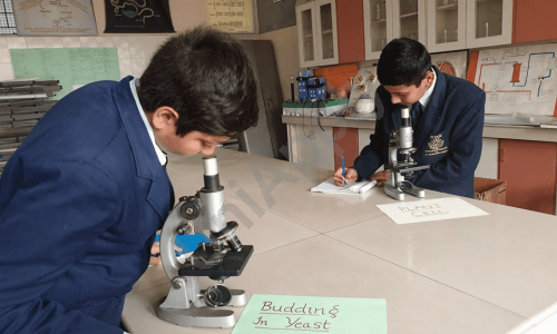 Ryan International School — photo 7