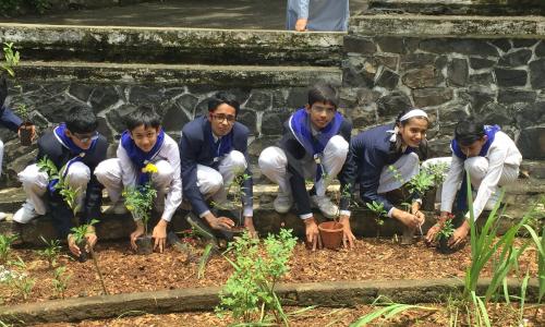 Ryan International School — photo 16