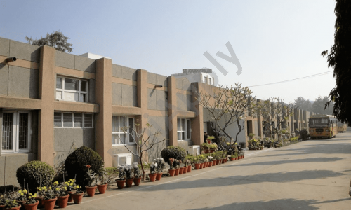 S D Adarsh Vidyalaya — photo 1