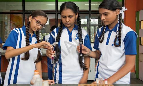 S.E. International School — photo 18