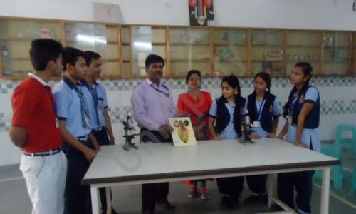 S.S. International School — photo 2