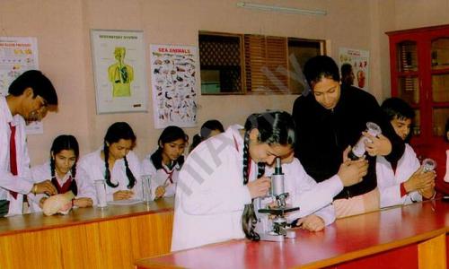 Saffron Public School — photo 2
