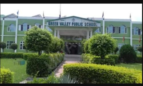 Safidon Green Valley Public School — photo 2