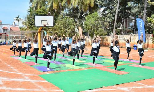 Samsidh MLZS — photo 7