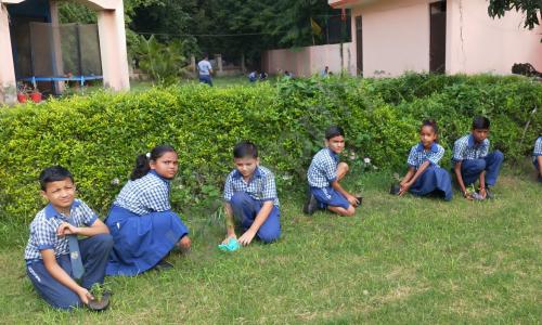 Sanskriti International School — photo 6