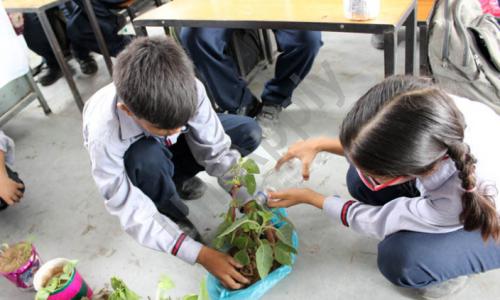 Sant Nirankari Public School — photo 6