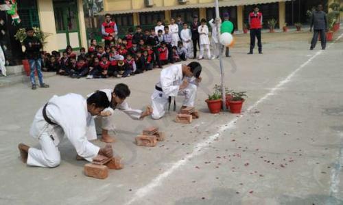 Sant Nirankari Public School — photo 5