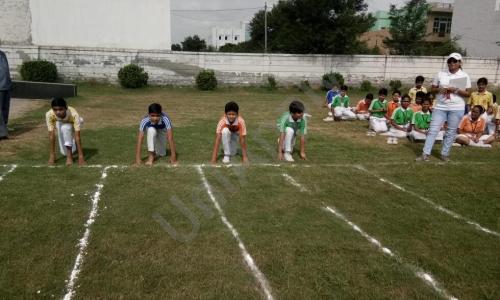 Saraswati Shiksha Sansthan Senior Secondary School — photo 8