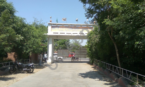 Sat Kabir International School — photo 3