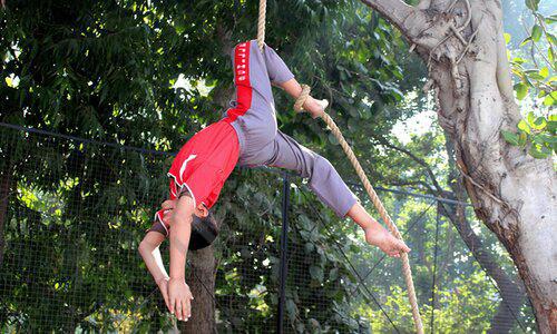 Schiller Institute Senior Secondary School — photo 9