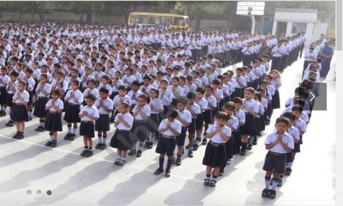 Scholars Pride — photo 3