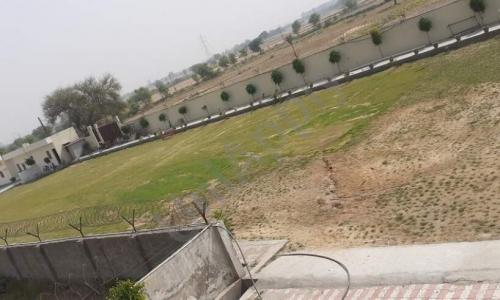 SDM Public School — photo 12