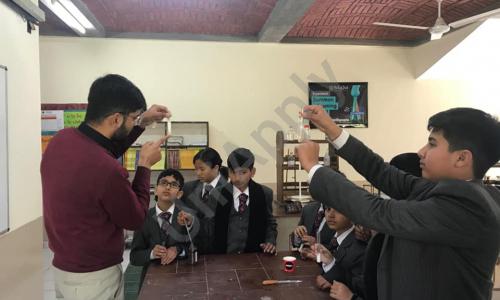 Selaqui International School — photo 13