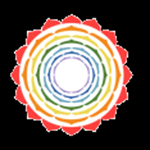 Shlok International School logo