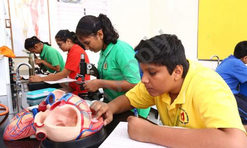 Shree Chandulal Nanavati Vinaymandir School — photo 12