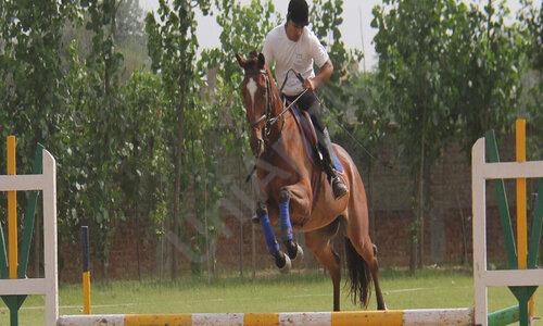 Shreejee International School — photo 7