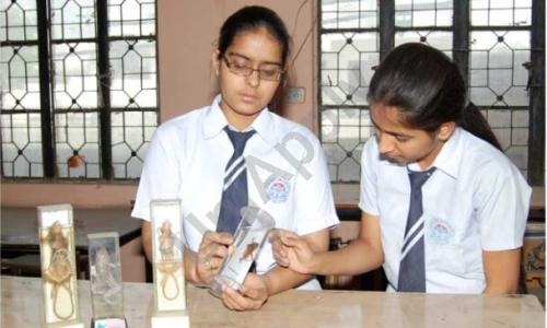 Shri Daulat Ram Public Senior Secondary School — photo 2
