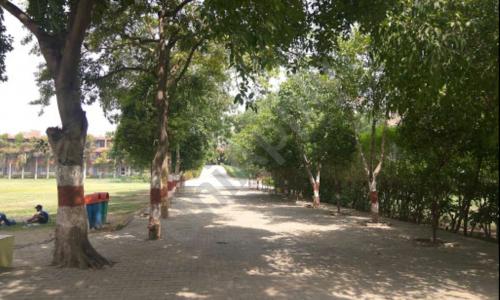 Shri Tula Ram Public School — photo 4