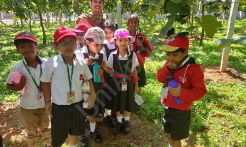 Silver Oaks International School — photo 7